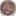 wn20.jpg (10416 bytes)